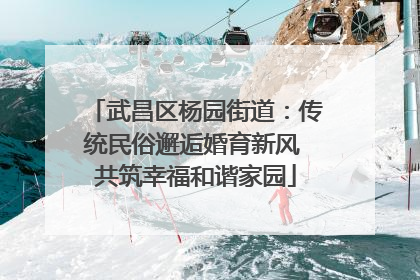 武昌区杨园街道：传统民俗邂逅婚育新风 共筑幸福和谐家园