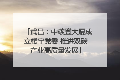 武昌：中碳登大厦成立楼宇党委 推进双碳产业高质量发展
