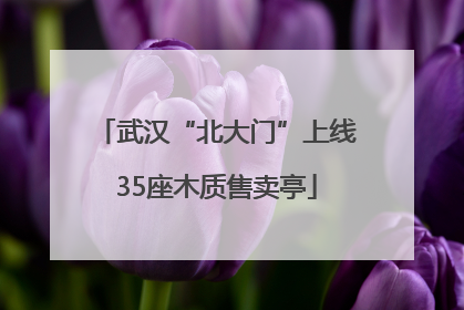 武汉“北大门”上线35座木质售卖亭