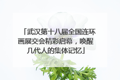 武汉第十八届全国连环画展交会精彩启幕，唤醒几代人的集体记忆