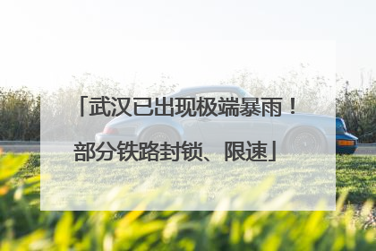 武汉已出现极端暴雨！部分铁路封锁、限速