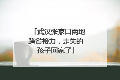 武汉张家口两地跨省接力，走失的孩子回家了