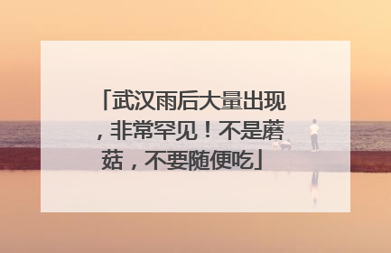 武汉雨后大量出现，非常罕见！不是蘑菇，不要随便吃