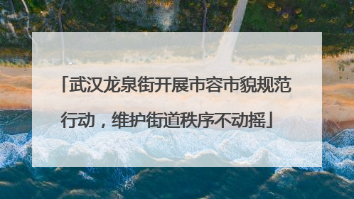 武汉龙泉街开展市容市貌规范行动，维护街道秩序不动摇