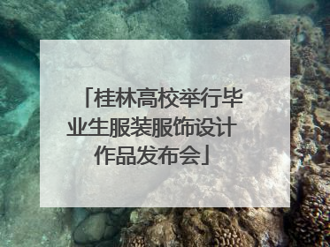 桂林高校举行毕业生服装服饰设计作品发布会