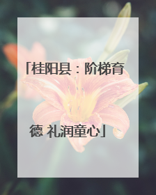 桂阳县：阶梯育德 礼润童心