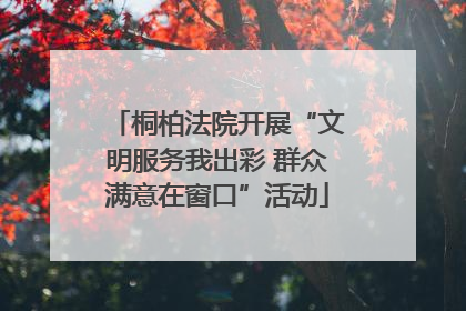 桐柏法院开展“文明服务我出彩 群众满意在窗口”活动