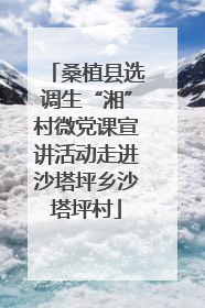 桑植县选调生“湘”村微党课宣讲活动走进沙塔坪乡沙塔坪村