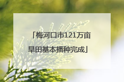 梅河口市121万亩旱田基本播种完成