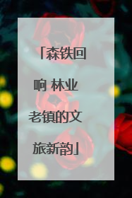 森铁回响 林业老镇的文旅新韵