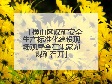 横山区煤矿安全生产标准化建设现场观摩会在朱家峁煤矿召开