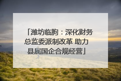 潍坊临朐：深化财务总监委派制改革 助力县属国企合规经营