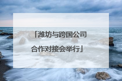 潍坊与跨国公司合作对接会举行