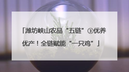 潍坊峡山农品“五链”③优养优产！全链赋能“一只鸡”