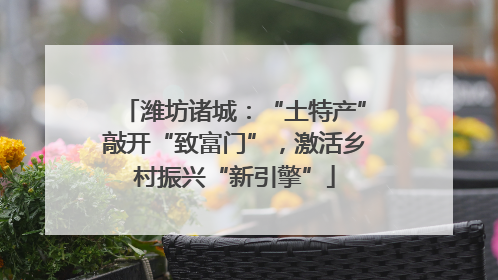 潍坊诸城：“土特产”敲开“致富门”，激活乡村振兴“新引擎”