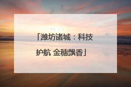 潍坊诸城：科技护航 金穗飘香