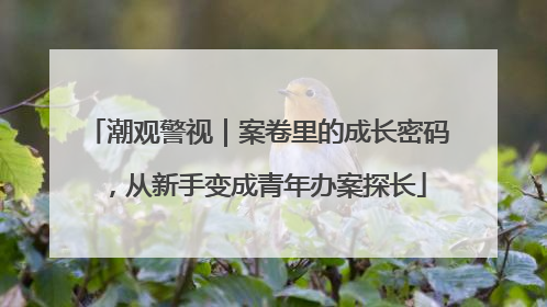 潮观警视｜案卷里的成长密码，从新手变成青年办案探长
