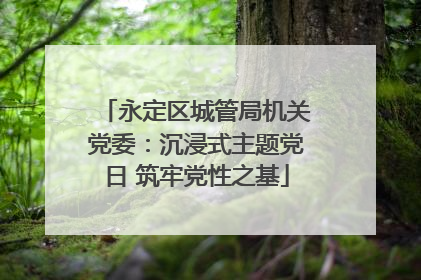 永定区城管局机关党委：沉浸式主题党日 筑牢党性之基