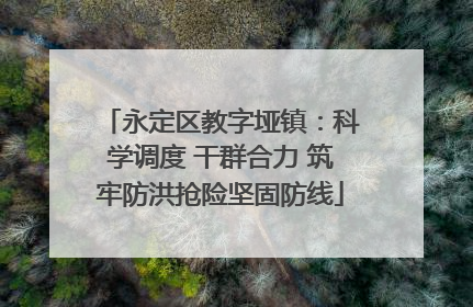 永定区教字垭镇：科学调度 干群合力 筑牢防洪抢险坚固防线