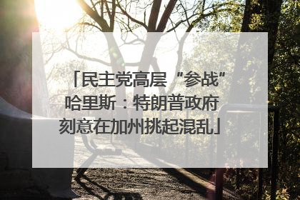 民主党高层“参战” 哈里斯：特朗普政府刻意在加州挑起混乱