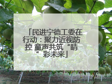 民进宁德工委在行动：聚力近视防控 童声共筑“睛”彩未来