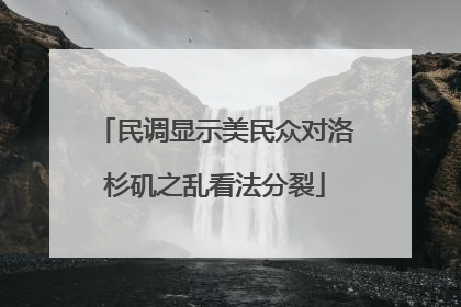 民调显示美民众对洛杉矶之乱看法分裂