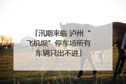汛期来临 泸州“飞机坝”停车场所有车辆只出不进