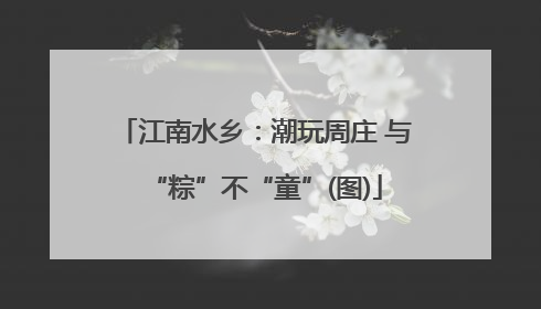 江南水乡：潮玩周庄 与“粽”不“童”(图)