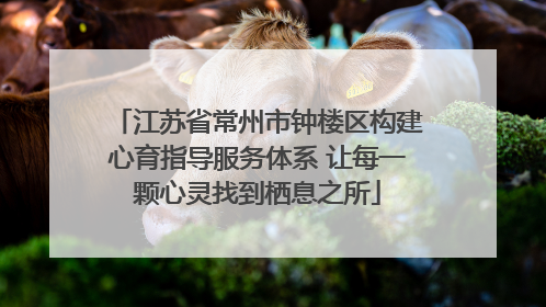 江苏省常州市钟楼区构建心育指导服务体系 让每一颗心灵找到栖息之所