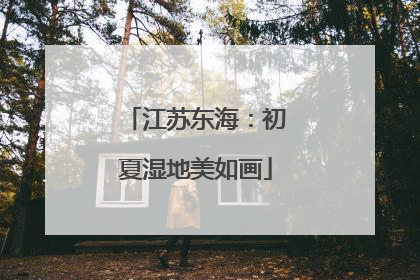 江苏东海：初夏湿地美如画