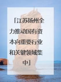 江苏扬州全力推动国有资本向重要行业和关键领域集中