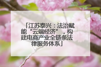 江苏泰兴：法治赋能“云端经济”，构建电商产业全链条法律服务体系