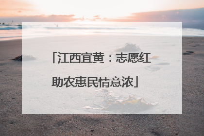 江西宜黄：志愿红助农惠民情意浓