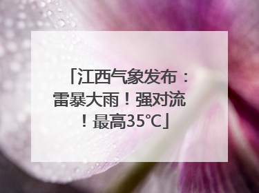 江西气象发布：雷暴大雨！强对流！最高35℃