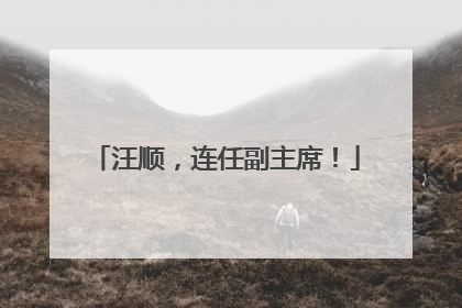 汪顺，连任副主席！