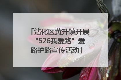 沾化区黄升镇开展“526我爱路”爱路护路宣传活动