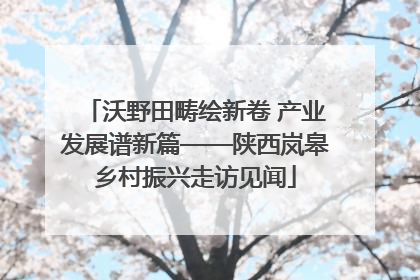 沃野田畴绘新卷 产业发展谱新篇——陕西岚皋乡村振兴走访见闻