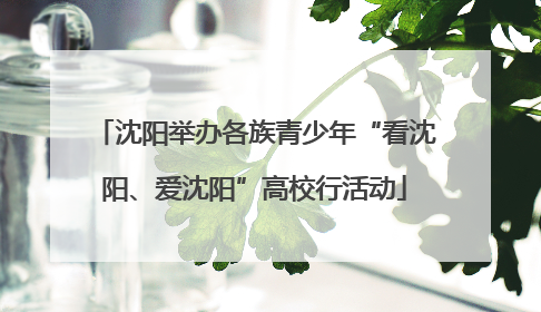 沈阳举办各族青少年“看沈阳、爱沈阳”高校行活动