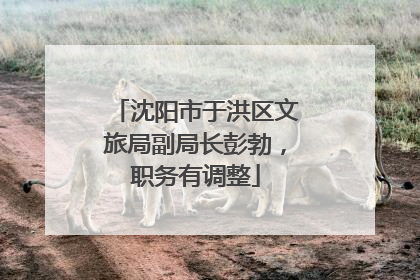 沈阳市于洪区文旅局副局长彭勃，职务有调整