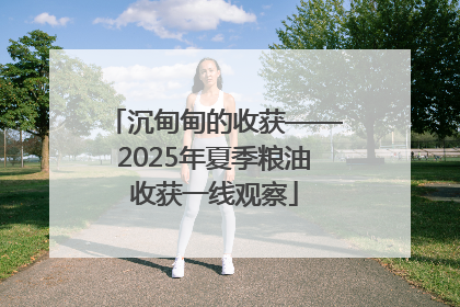 沉甸甸的收获——2025年夏季粮油收获一线观察