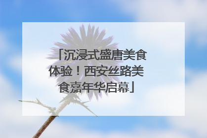 沉浸式盛唐美食体验！西安丝路美食嘉年华启幕