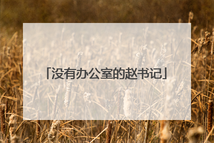 没有办公室的赵书记