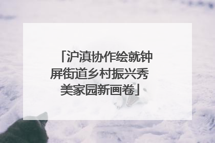 沪滇协作绘就钟屏街道乡村振兴秀美家园新画卷