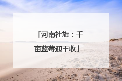 河南社旗：千亩蓝莓迎丰收