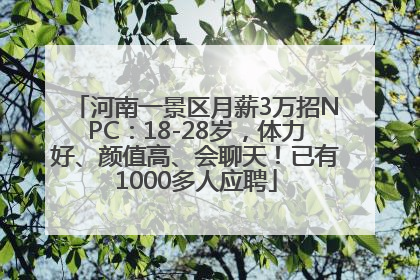 河南一景区月薪3万招NPC：18-28岁，体力好、颜值高、会聊天！已有1000多人应聘