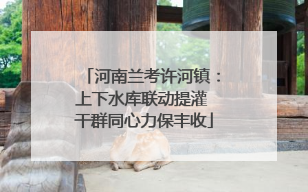 河南兰考许河镇：上下水库联动提灌 干群同心力保丰收