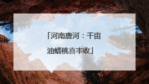 河南唐河：千亩油蟠桃喜丰收