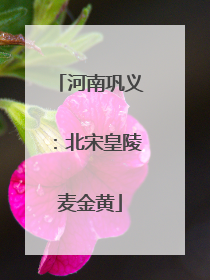 河南巩义：北宋皇陵麦金黄