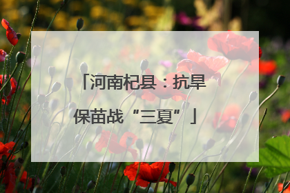 河南杞县：抗旱保苗战“三夏”