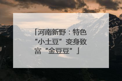 河南新野：特色“小土豆”变身致富“金豆豆”